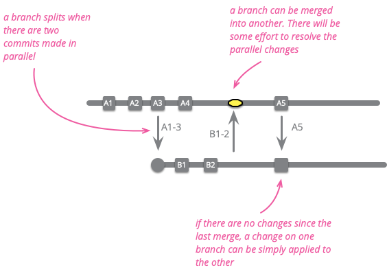 branching and merging