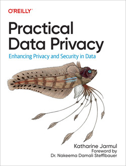 practical-data-privacy.jpg